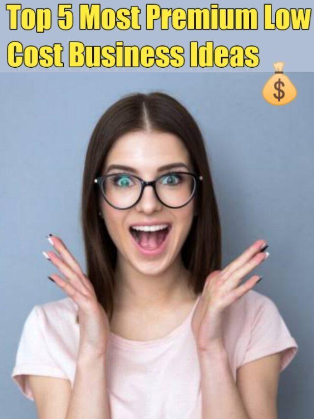 Premium Business Ideas